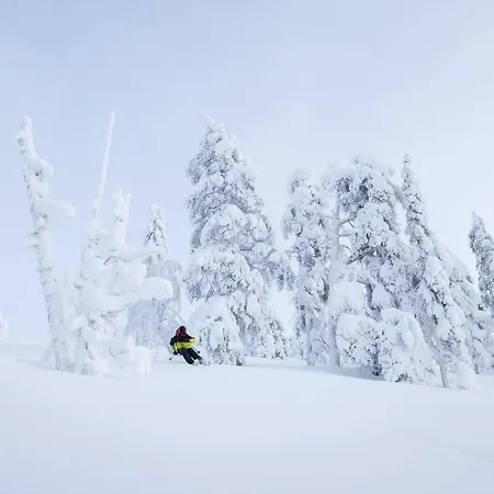 Шале Tunturinlaita D3 *