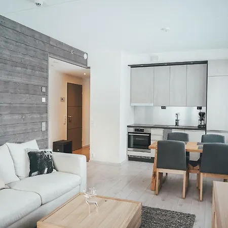 木屋 Tunturinlaita D3 列维