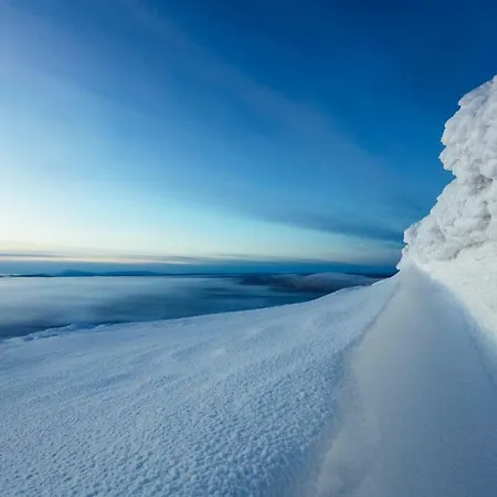 Tunturinlaita D3 Levi