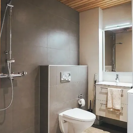 Tunturinlaita D3 木屋 列维