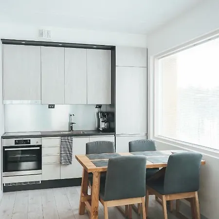 Tunturinlaita D3 Σαλέ Levi