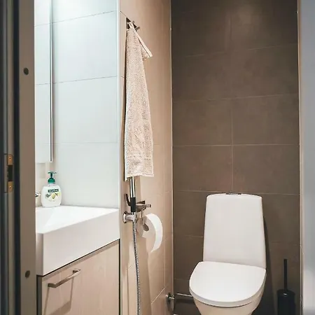 木屋 Tunturinlaita D3