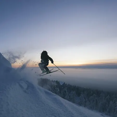 Tunturinlaita D3 列维