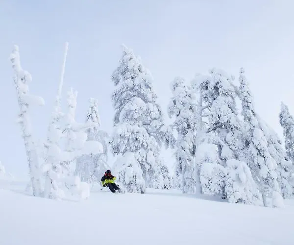 샬레 Tunturinlaita D3 *