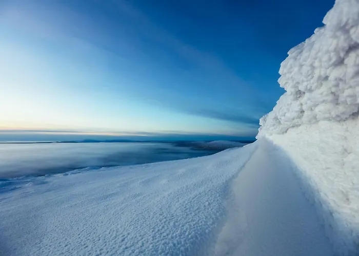 Tunturinlaita D3 Levi