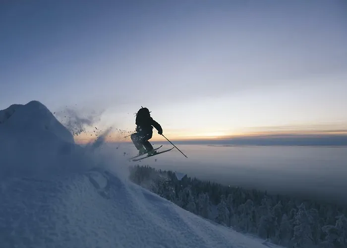 Tunturinlaita D3 레비